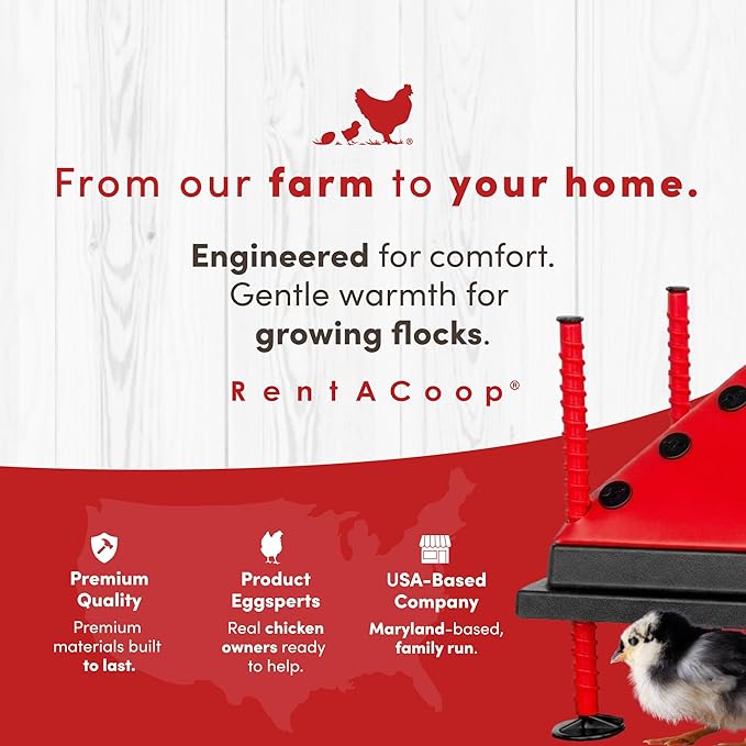 RentACoop 10x10” Adjustable Heating Plate with Bonus Foldable Anti-Roost Cone for up to 15 Chicks | Chick Brooder Heat Plate – Energy-Efficient 15-Watt Chick Heater - Safer Than Heat Lamps