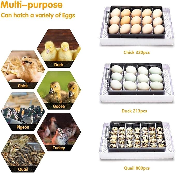 Egg Incubator with Automatic Egg Turning, Egg Hatching Incubator with Lab General Purpose 256 Eggs Incubators with Temperature Control for Chickens Ducks Birds,Q