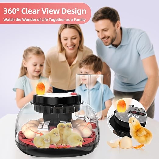 12 Egg Incubator for Hatching Chicken, Duck, Quail Eggs – 360° Visible Lid, Automatic Turning & Humidity Control, Built-in Egg Candler – Ideal for Home & Classroom Science Projects