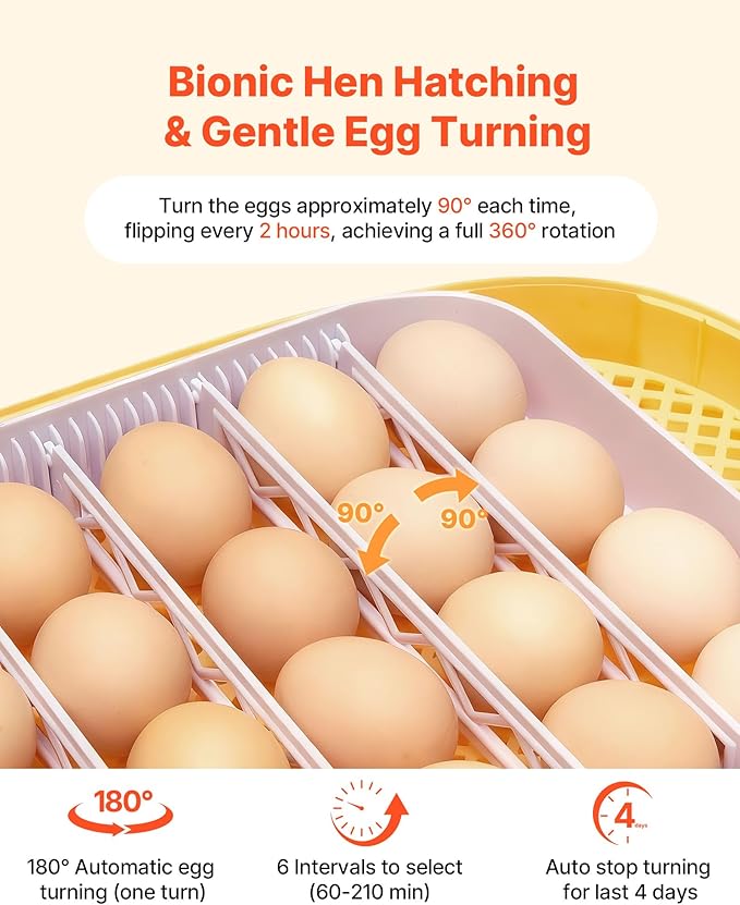 VEVOR 24 Egg Incubator, Automatic Egg Turner with LED Candler, Temperature & Humidity Control, 360° View Clear Window, Auto Water Refill, Poultry Eggs Incubators for Hatching Chicks Ducks Goose Quail