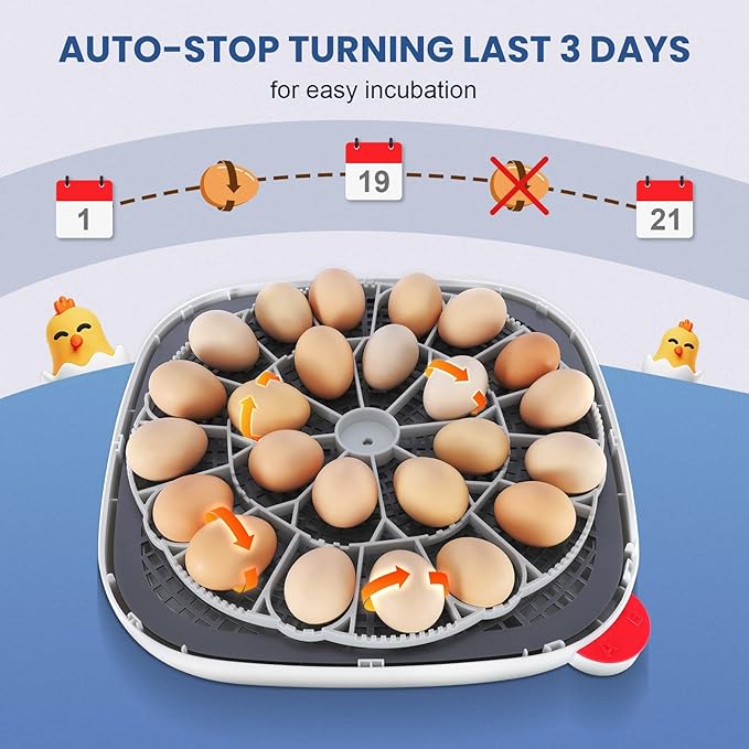 Sailnovo 24 Egg Incubators for Hatching Eggs, 4 Modes Egg Incubator with Automatic Egg Turning and Humidity Display, Egg Candler - 360° View with Clear Window Incubators for Hatching Chicks, Blue