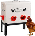 DRQ 30 LB Automatic Chicken Feeder, Metal Chick Feeder with 6 No-Waste Ports, Waterproof Poultry Feeder with Adjustable Legs, Locking Lid & Riveted Handles for Outdoor Chicken Coops
