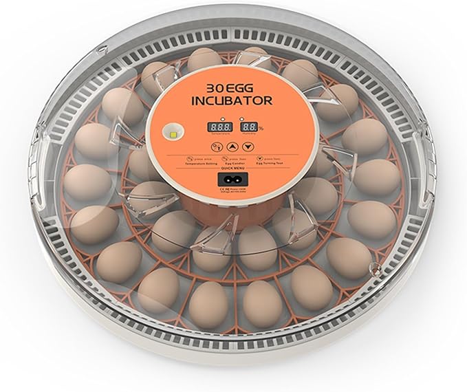 30 Eggs Incubator with Automatic Egg Turning with External Injection Water Bottle - Household Small Poultry Hatching Machine with Egg Candler Light for Chicken, Ducks, Pigeons,Bird (US Plug)