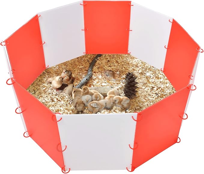 Brooder Box for Chicks, Adjustable Shape & Large Space Chicken Brooder Kit Holds Up to 15 Baby Chicks, Durable & Strong Chicken Brooder Box for Safe Growing, Easy to Store & Clean