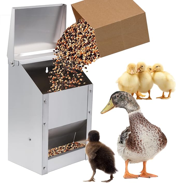 Wall Mounted Chicken Feeder Hanging Automatic Poultry Feeder with Lid Weatherproof Galvanized Steel Poultry Feeders Trough(10LB Capacity)