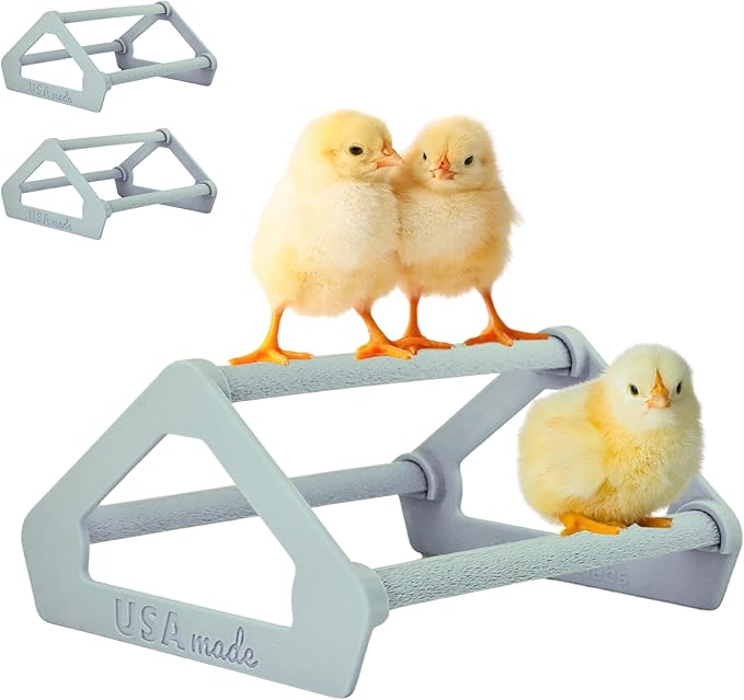 Roosting Perch for Baby Chickens, Chick Brooder Coop Training Toy Accessory, Easy Click Together Assembly, Durable Plastic, Mix and Match Colors, USA Made (Gray, 3 Pack)