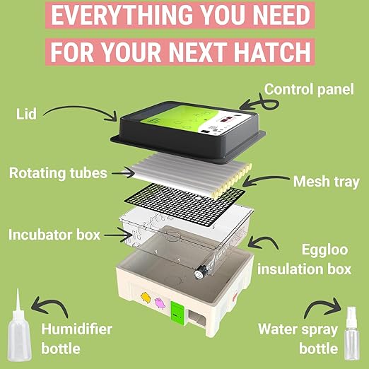 OBI-36 Incubator for Hatching Eggs – 36 Eggs, Easy to Use, Stable Temperature & Humidity Control with Eggloo Insulation - Green