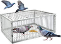 Pigeon Trap Cage with Escape-Proof Design – Auto Bird Trap Cage for Pigeons and Small Birds | Multi-Catch Pigeons Birds Traps for Sale with Well Anti-Rust Baking Paint-M Size