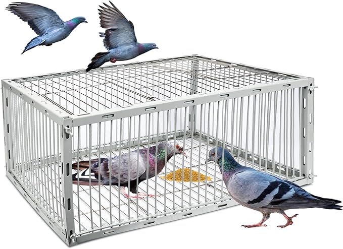 Pigeon Trap Cage with Escape-Proof Design – Auto Bird Trap Cage for Pigeons and Small Birds | Multi-Catch Pigeons Birds Traps for Sale with Well Anti-Rust Baking Paint-M Size