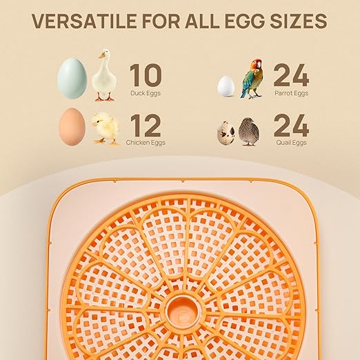 TURBRO 12 Egg Incubator with Automatic Egg Turning, Incubator for Hatching Eggs with Auto-Temperature and Humidity Control, Egg Candler, for Chicken, Duck, Quail, Use in Farm, Home, Classroom, Lab