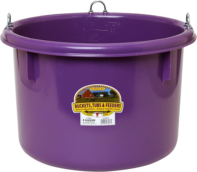 Little Giant® Plastic Round Feeder | Feed Bucket for Livestock | Ultra Durable Round Plastic Bucket | Made in USA | 8 Gallon | Purple