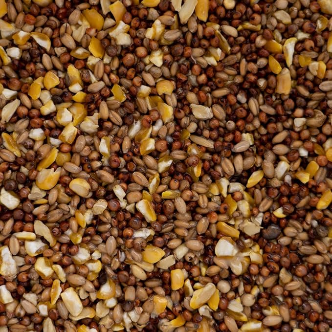 3-Way Hen Scratch Chicken Feed - 50 Pound Bag