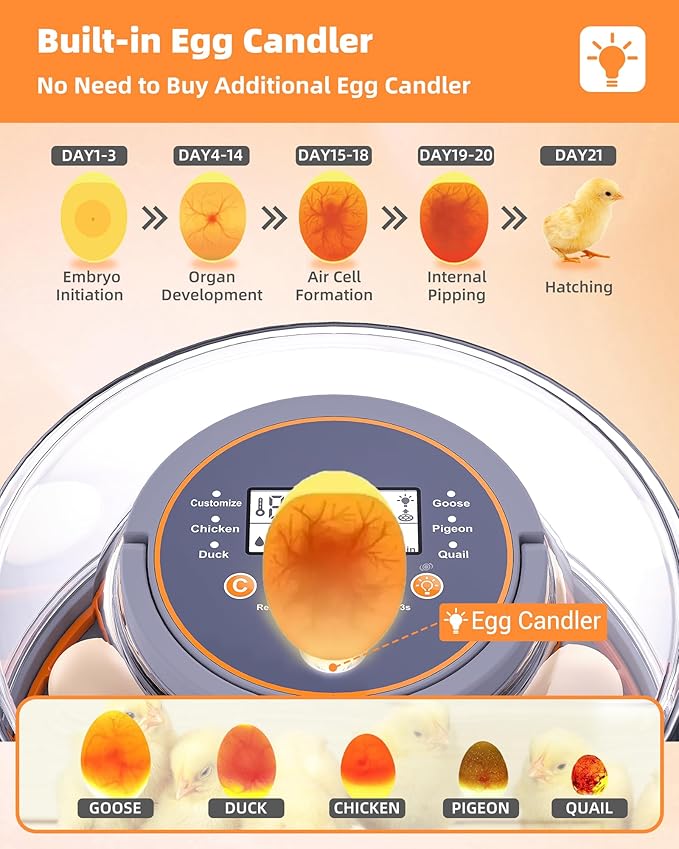 Incubators for Hatching Eggs, 12 Chicken Incubator with Automatic Egg Turning and Humidity Control, Baby Chick Cozy Supplies with Egg Candler for Quail, Chickens, Duck, Goose
