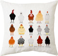 Sidhua Farmhouse Chicken Themed Pillowcase Decorations for Home, Cute Educational Breeds of Chickens Chart Pillow Cover 18”x18”, Chicken Lover Gifts, Farmer Men Women Girls Boys Gifts