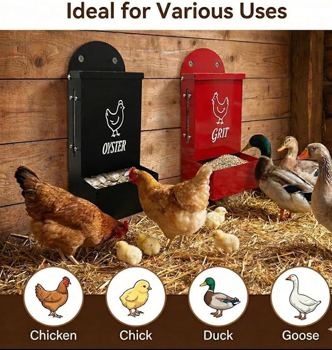 Premium Metal2 Packs Oyster Shell Feeder for Chicken with Viewing Window Grit Oyster rain Cover Fodder Crushed Alimento para Chicken Coop Accessories Improve Eggshell Quality and Hen Health
