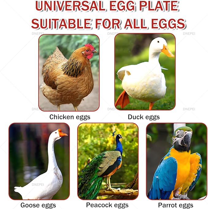 Automatic Digital Incubator for 400 Eggs, Smart Microcomputer Control, 360° Roller Flipping, Auto Cooling & Humidity - Professional Hatcher for Diverse Poultry and Bird Eggs