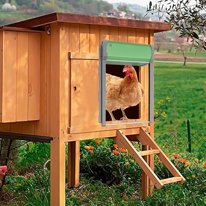 Automatic Chicken Coop Door, Solar Powered Chicken Coop Doors with Timer & Light Sensor Evening and Morning Delay, Wall-Mounted Aluminum Coop Door Opener Electric Chicken Run Door