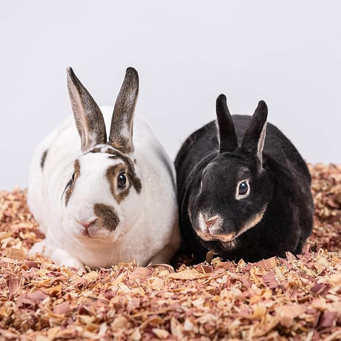 Pick Pets Red Cedar Bedding for Dogs, Rabbits and Horses | 100% Pet-Safe Material | All-Natural | Zero Artificial or Unsafe Chemicals, 24L (2 Pack)