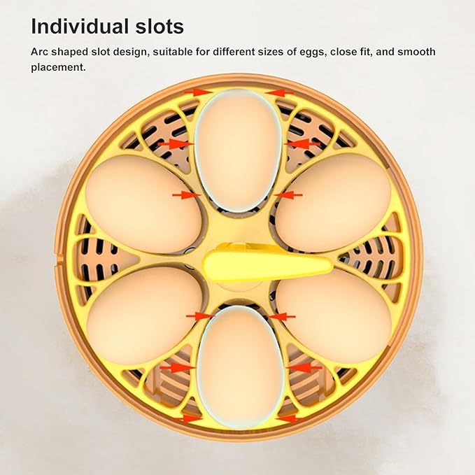 Pyhodi 6 Egg Incubator, Automatic Temperature and Humidity Control, Visual Observation, Suitable for Chicken Duck Eggs, Low Noise Automatic Egg Turning Incubator for Hatching (US Plug