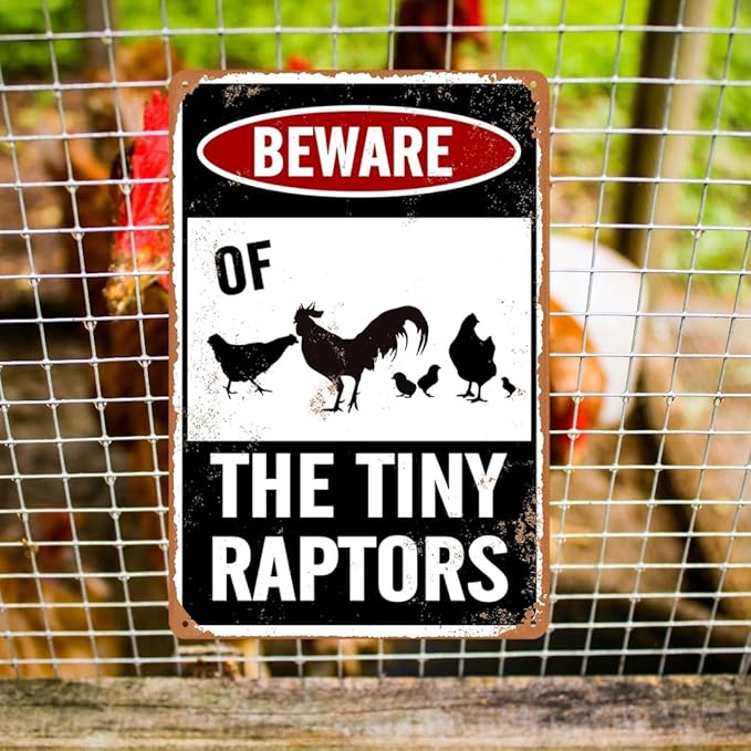 Beware Of Chicken Sign Chicken Signs For Coop Funny Outdoor Chicken Coop Signs Beware Of The Tiny Raptors Sign Chicken Coop Accessories Funny Warning Sign For Chickens Chicken Coop Decor 8x12 Inch