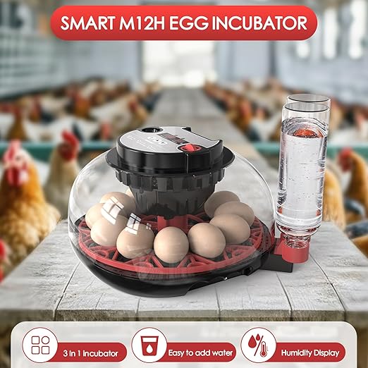 Incubators for Hatching Eggs Automatic Egg Incubator with Temperature Control Humidity Display 12 Egg Capacity for Chicken Duck Goose Eggs Digital Display Auto Turner 360° View
