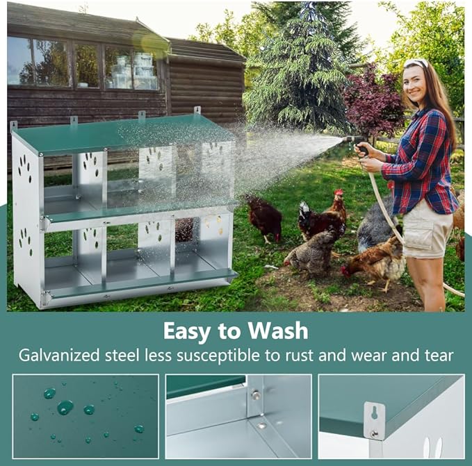 Green Chicken Nesting Box for Laying Eggs – Roll Away Poultry Nest, Durable & Easy-Clean Hen Egg Box for Coops, Secure & Comfortable (6-Hole,Green)