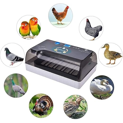 Egg Incubator with Automatic Turning, Digital Poultry Hatcher for 12-35 Eggs, Egg Candling, Temperature Control for Chickens, Ducks, and Quails