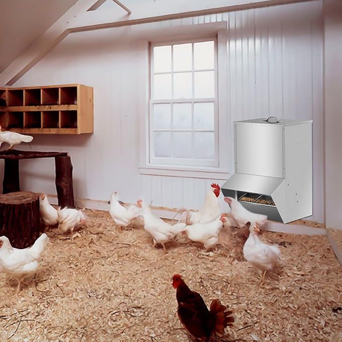 Automatic Chicken Feeder, 50lbs Capacity Weatherproof Steel Chicken Feeders No Waste, Rat Proof Poultry Feeder with Lid, Outdoor Coop Food Dispenser for Chicken and Rabbits