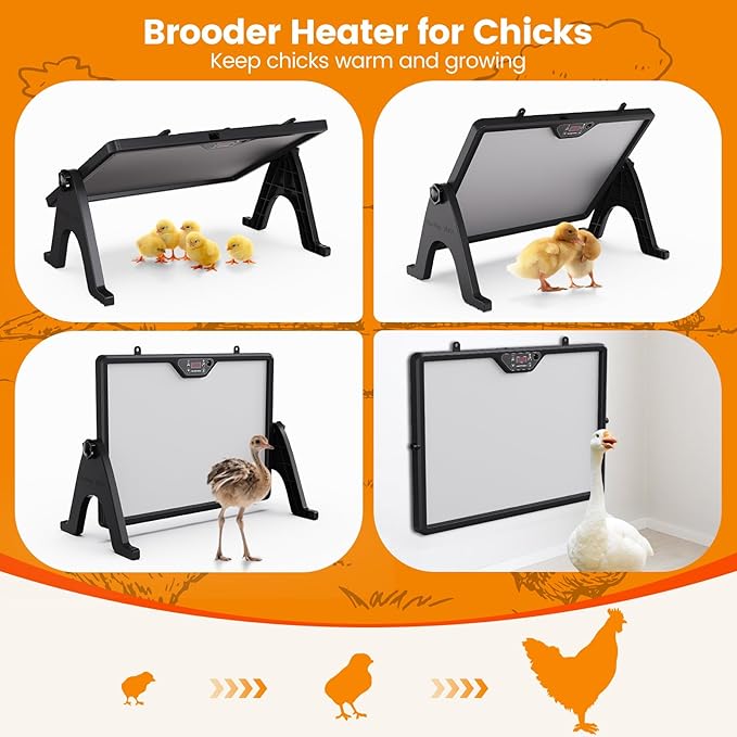 Chick Brooder Plate, 12"x16.5" Adjustable Double-Sided Heating Plate with LED Light & Remote Control, Brooder Heater for Baby Chicks, Ducklings & Birds, Safe Low-Energy Chick Heating Plate 86°F-167°F