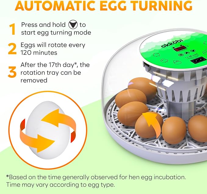 Okkobi M12 Egg Incubator with Automatic Turner and Humidity Control - 12/24 Eggs, 360° View, Easy to Use and Clean - Incubadora de Huevos de Gallina - Made for US - White & Green