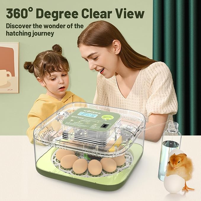 12 Egg Incubator with Automatic Egg Turning and Humidity Control, LED Egg Candling Light, Customized Incubation Days, Incubators for Hatching Eggs, Chicken Quail Parrot Pigeon Birds, Green