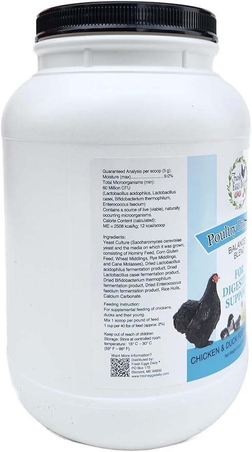 Fresh Eggs Daily Poultry Probiotics Feed Supplement – Natural Digestive & Immune Support for Chickens & Ducks – Enhances Egg Quality & Reduces Odor – 6 lb