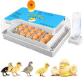 Incubators for Hatching Eggs 15-35 Eggs Incubator with Automatic Egg Turning and ℉Temperature Display LED Egg Candler Poultry Incubator for Hatching Chicken Duck and Quail Egg Incubator (Blue)