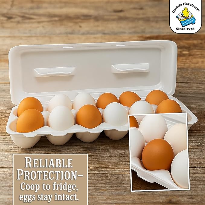 Cackle Hatchery Foam Egg Cartons for Chicken Eggs Holds 1 Dozen Eggs (White, 15pk)