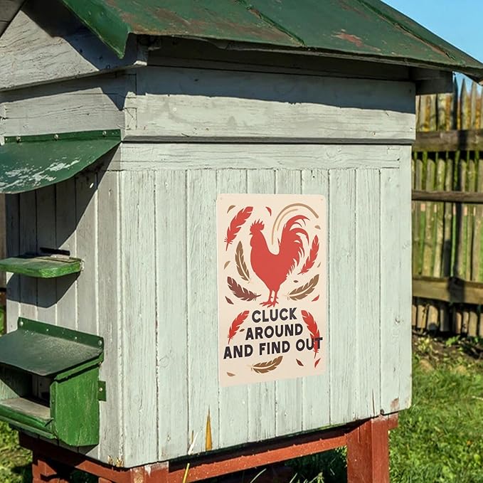 Funny Chicken Sign Cluck Around and Find Out Sign For Farmhouse Decor Chicken Coop Accessories 8x12 in (orange-chicken)