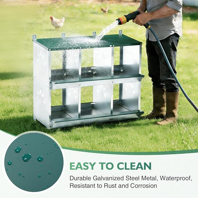EAGLE PEAK 6-Hole Wall Mounted Chicken Nesting Box, Roll Away Hen Laying Box with Sloped Roof & Easy Clean Tray, Galvanized Steel for Backyard Chicken Coops (Green)