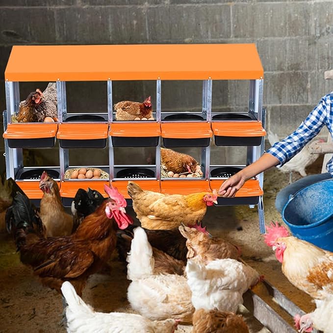 10 Hole Chicken Nesting Boxes - Nesting Boxes Chicken with Roll Away Design & Lid Cover,Easy Egg Collection, Hen Roosting Nest, Durable Poultry Laying Boxes for Hens