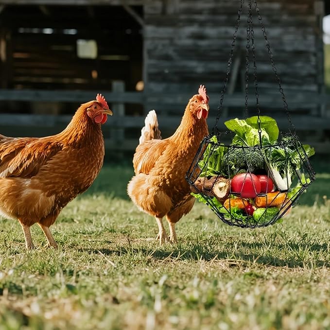 Hanging Chicken Feeder, Foldable Poultry Feeder Basket for Chicken Duck Coop, 1 Pcs