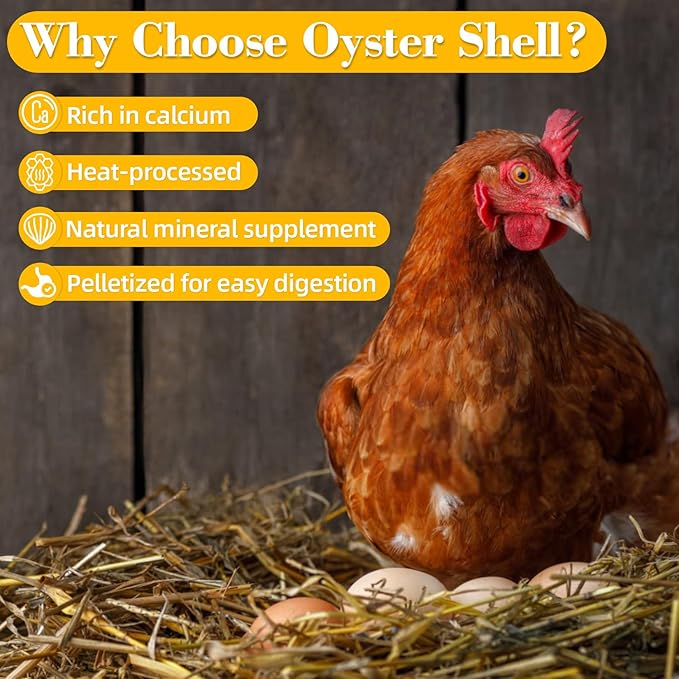 Crushed Oyster Shell for Chickens – 15oz Natural Calcium Supplement for Laying Hens, Backyard Flocks & Poultry, Supports Eggshell Quality for Chickens, Ducks and Quail