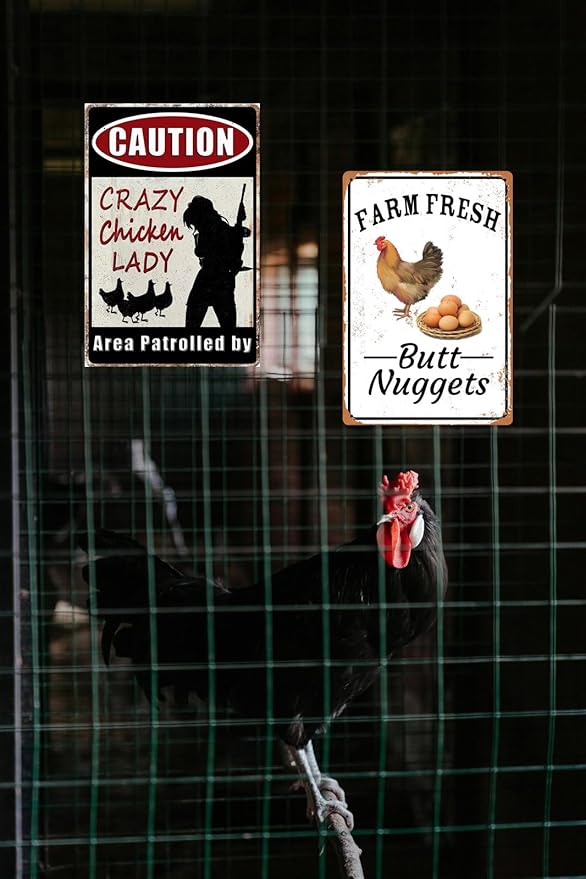 2pcs Funny Chicken Sign Vintage Metal Tin Signs Chicken Coop Accessories Lovers Gifts For Farm Yard Fence Decor Coop Caution Sign Outdoor Wall Decor 8×12 Inch
