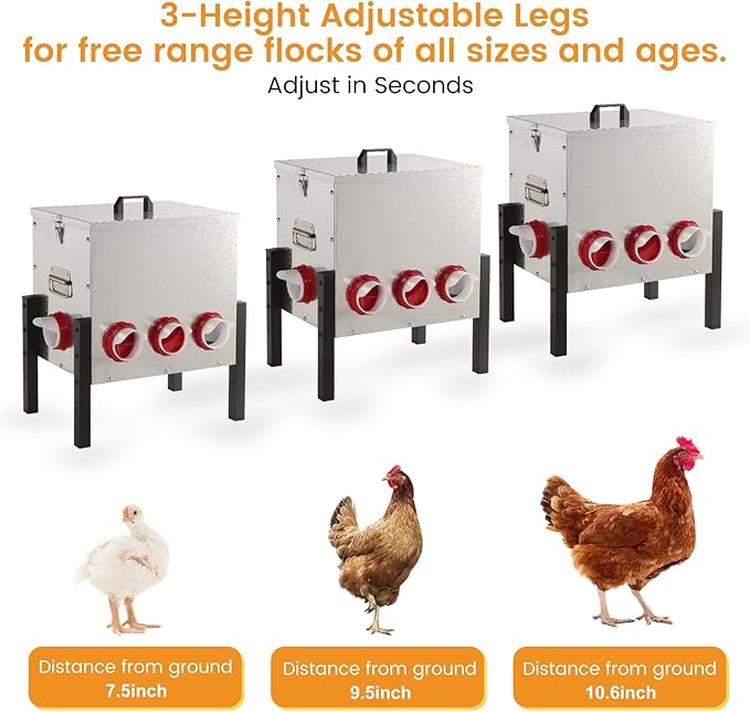 50LB Automatic Chicken Feeder with Cover – Large Capacity Metal Chicken Coop Feeder with 8 Feed Ports, Adjustable Legs Rainproof No Waste Outdoor Poultry Feeder for Hens & Free Range Flocks