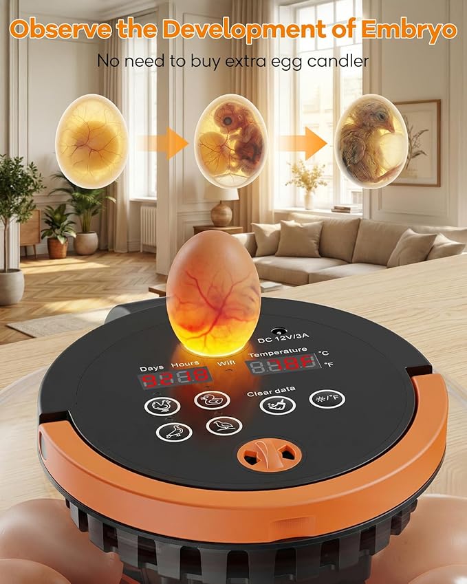 WiFi Egg Incubator with 1080P Camera, App Control, Automatic Turning & Water Filler for Hatching Eggs with Candler, Smart Incubator for 6-12 Chicken, Quail, Pigeon Eggs