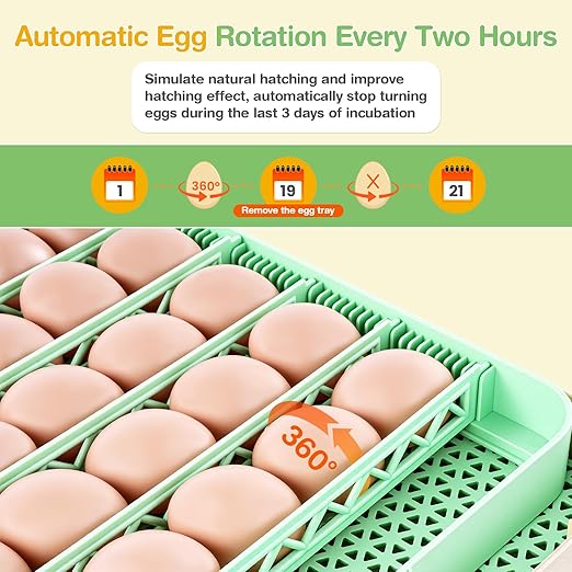 Sailnovo 48 Egg Incubator for Hatching Eggs with Auto Egg Turning, Precise Temp & Humidity Control, 360°Viewing, Egg Candler, Incubator for Chicken Eggs/Duck/Quail,Ideal for Farm/School/Lab,Green