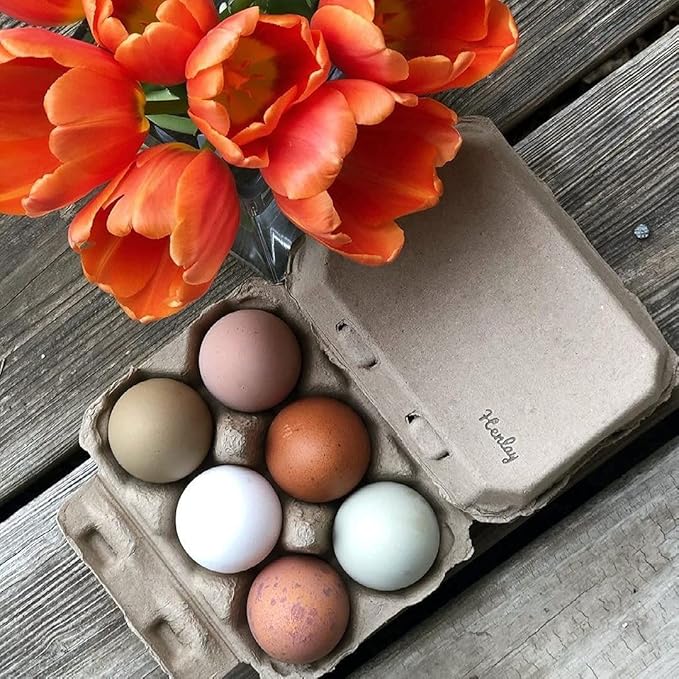 Half Dozen Blank Egg Cartons – Flat Top Half-Dozen Holder, Recyclable Pulp, Ideal for Farm-Fresh Eggs, DIY Custom Labeling, Eco-Friendly Storage - 20 Pack