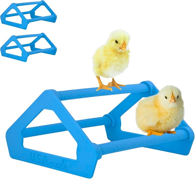 Roosting Perch for Baby Chickens, Chick Brooder Coop Training Toy Accessory, Easy Click Together Assembly, Durable Plastic, Mix and Match Colors, USA Made (Blue, 3 Pack)