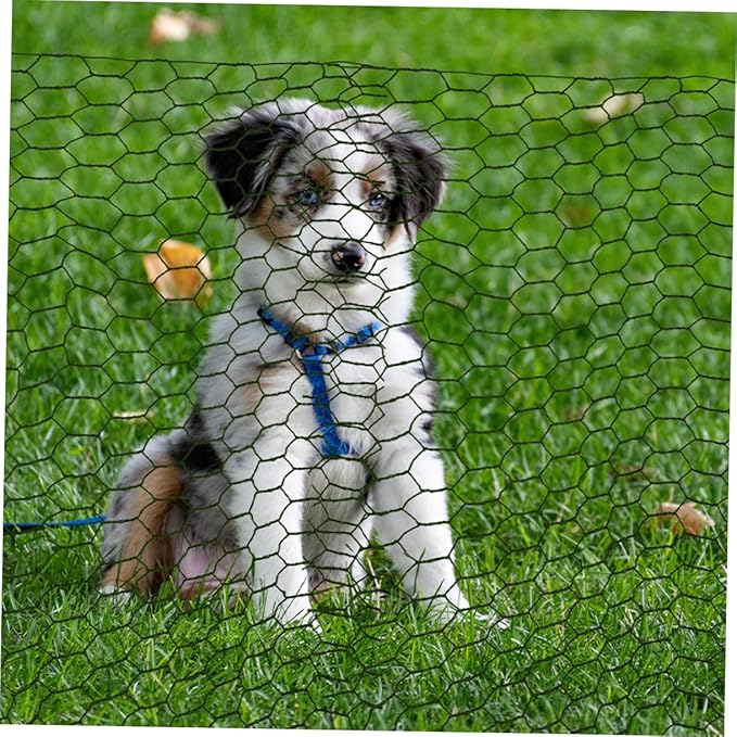 Galvanized Wire Mesh Poultry Fencing Electric Chicken Netting Coated Chicken Wire Netting for Coop