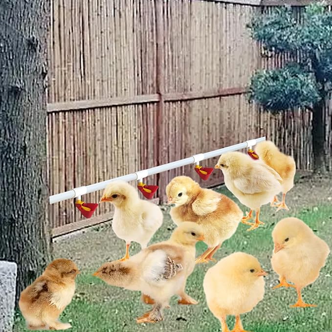 Chicken Waterer PVC Tee Fittings 1/8 FTP Threads for 1/2 Plastic Pipe Schedule 40 for Poultry Automatic Watering Nipples Auto-Fill Water Cups (10pcs, 1/8x1/2x1/2 PVC)