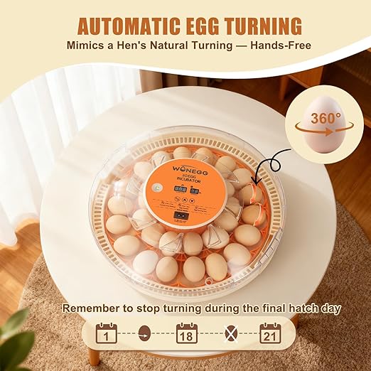 2nd Gen 30 Egg Incubator, Wide-Range Humidity with Manual Water Fill, Stable Temp Control, Dual-Size Egg Slots, Auto Egg Turning, Candler, Real-Time Display for Hatching Poultry Eggs