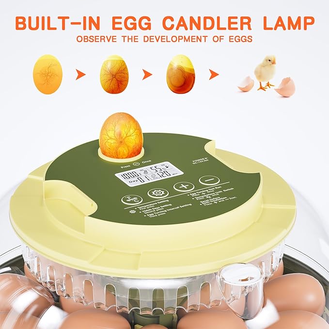 18 Egg Incubator, Incubator for Hatching Eggs, Automatic Egg Turning and Humidity Temperature Control, Egg Candler, Hatch Day, Automatic Water Refill, for Chicken, Ducks, Quail, Goose, Pigeon