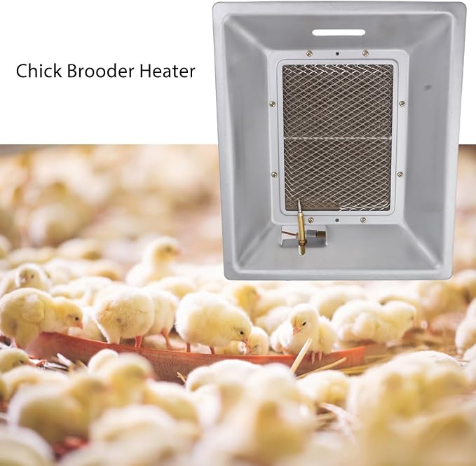 Jeanoko 1PCS Chick Heating Plate, Brooder Heat Plate, Manual Infrared Ceramics Catalytic Heating Incubation Equipment for Chicken Coops Poultry Heating